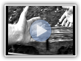 Music video for Drop by Burning Shapes, British indie rock band, egg and spoon race