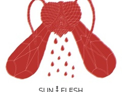 SUN & FLESH